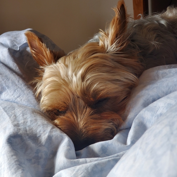 Meet your Posher, Michelle - Picture 3 of 3